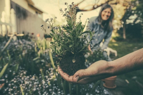 10 reasons why gardening is good for your health